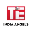 TiE India Angels TiE India Angels
