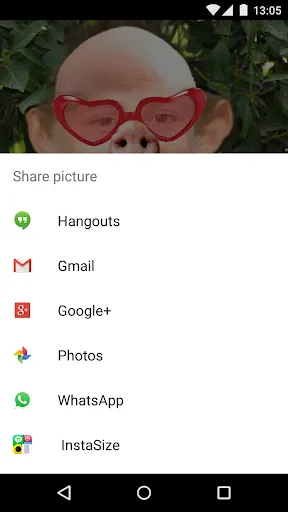 Face Changer应用截图