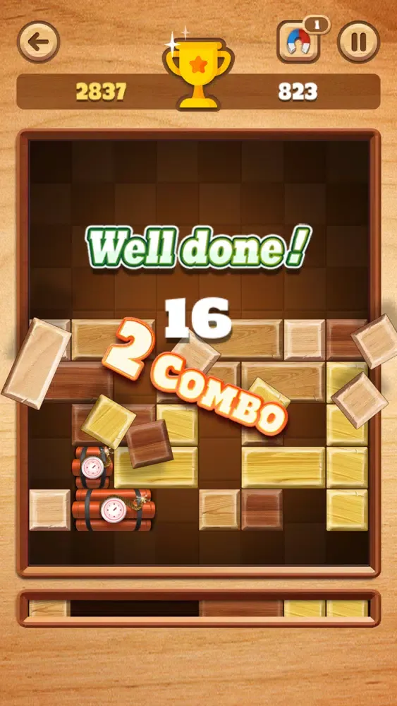 Wood Sliding - Block Puzzle स्क्रीनशॉट