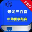 宋词三百首有声朗诵完整版 -词典赏析