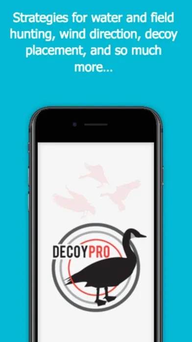 Tangkapan skrin Goose Hunting Diagrams - DecoyPro