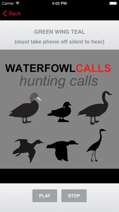 Waterfowl Hunting Calls - The Ultimate Waterfowl Hunting Calls App For Ducks, Geese & Sandhill Cranes - BLUETOOTH COMPATIBLE应用截图