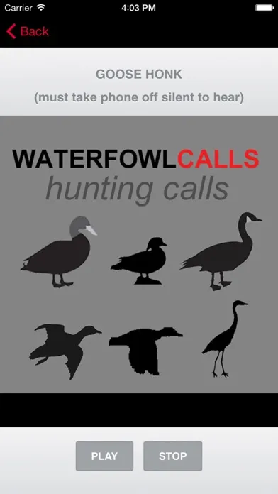 Waterfowl Hunting Calls - The Ultimate Waterfowl Hunting Calls App For Ducks, Geese & Sandhill Cranes - BLUETOOTH COMPATIBLE应用截图