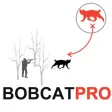 Bobcat Hunting Strategy - Bobcat Hunter Plan