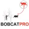 Bobcat Hunting Strategy - Bobcat Hunter Plan