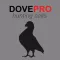 REAL Dove Sounds and Dove Calls for Bird Hunting -- BLUETOOTH COMPATIBLE