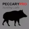 Peccary Calls and Peccary Sounds for Hunting