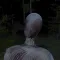 Scary Forest