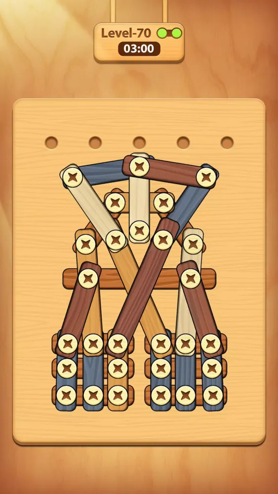 Captures d'écran de Screw, Nuts & Bolts Puzzle