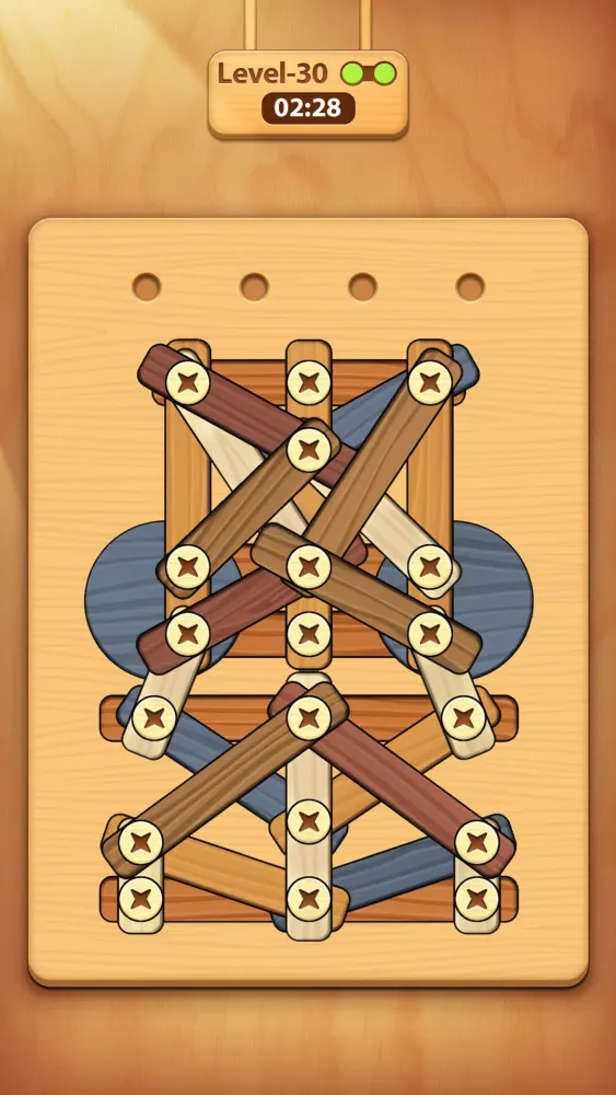 Captures d'écran de Screw, Nuts & Bolts Puzzle