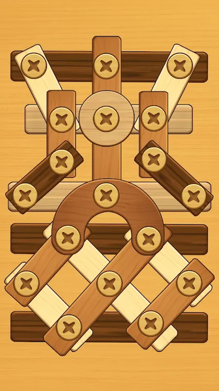 Wood Screw Puzzle スクリーンショット