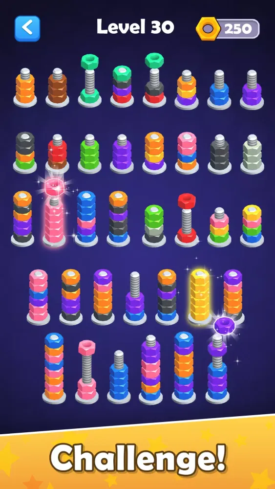 Screw Color Sort: Nuts N Bolts Screenshots