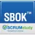SCRUMstudy SBOK™ Guide Glossary