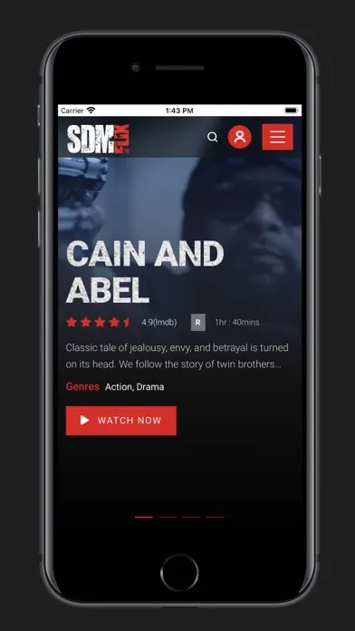 Скриншоты SDM FLIX