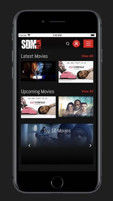 Скриншоты SDM FLIX