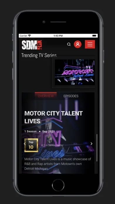 Скриншоты SDM FLIX