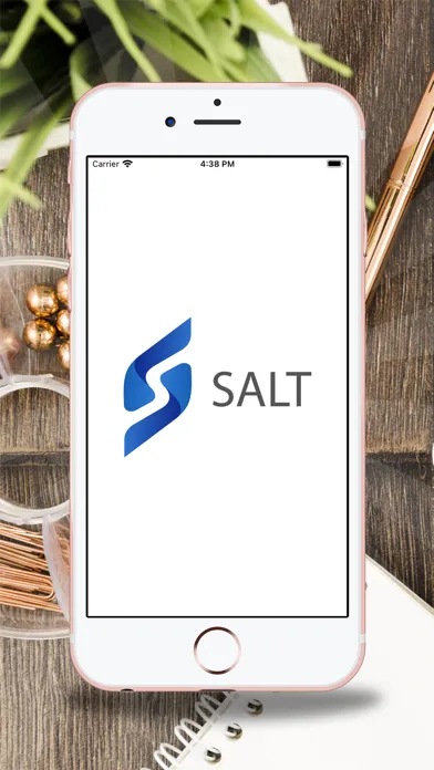 Tangkapan layar Salt & Lime