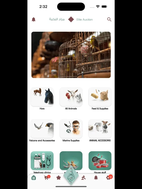 Zrzuty ekranu mazad Alnokhba iPad 
