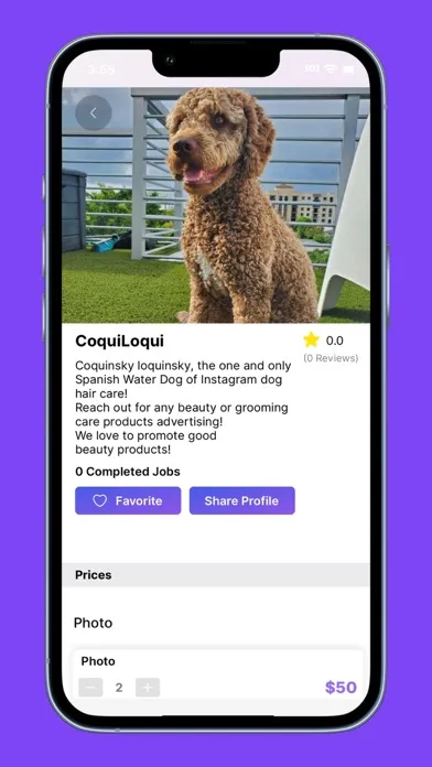 Starfish- Influencer Marketing স্ক্রিনশট