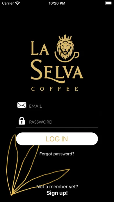 Screenshot di La Selva Coffee
