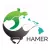 HI Hawksbill Conservation
