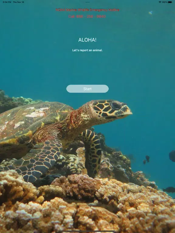 HI Hawksbill Conservation iPad  스크린샷