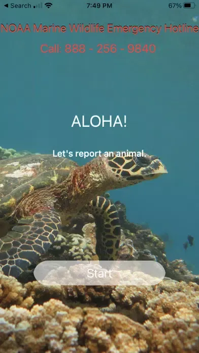 HI Hawksbill Conservation 스크린샷