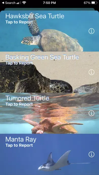 HI Hawksbill Conservation 스크린샷