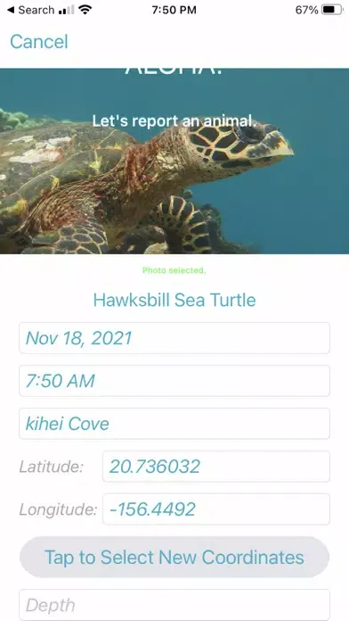 HI Hawksbill Conservation 스크린샷