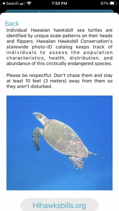 HI Hawksbill Conservation 스크린샷