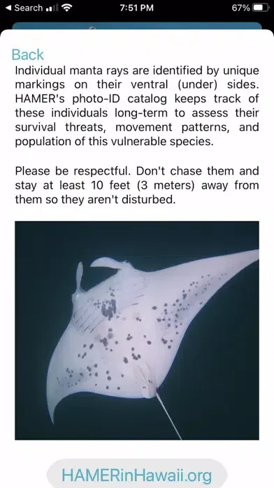 HI Hawksbill Conservation 스크린샷