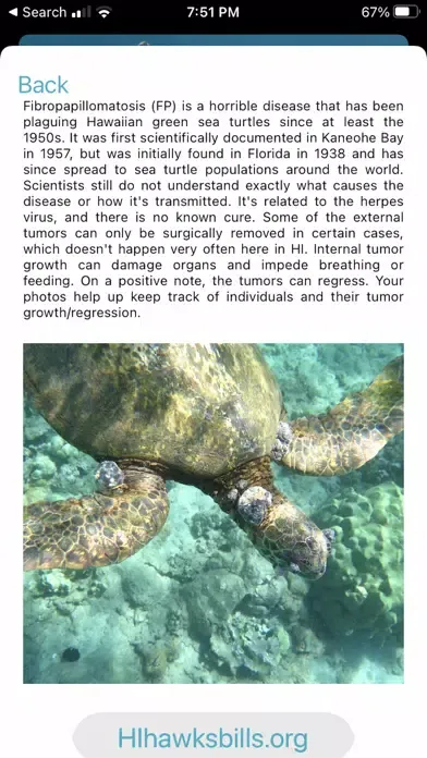 HI Hawksbill Conservation 스크린샷