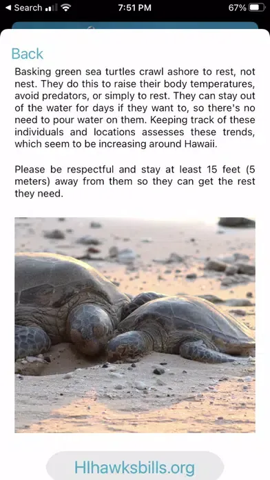 HI Hawksbill Conservation 스크린샷