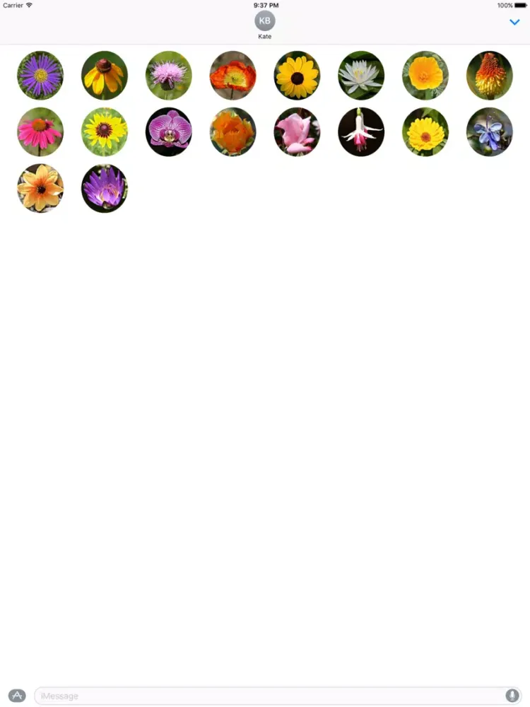 Скриншоты Flower Power Stickers iPad 