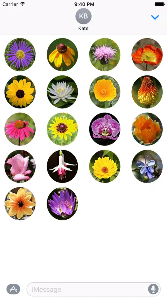 Скриншоты Flower Power Stickers