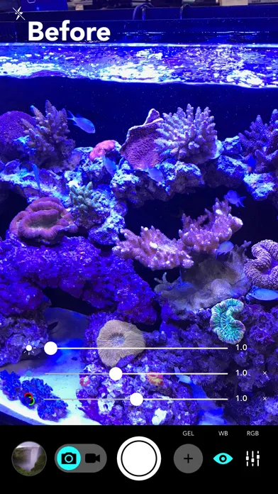 Zrzuty ekranu Aquarium Camera