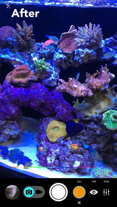 Zrzuty ekranu Aquarium Camera