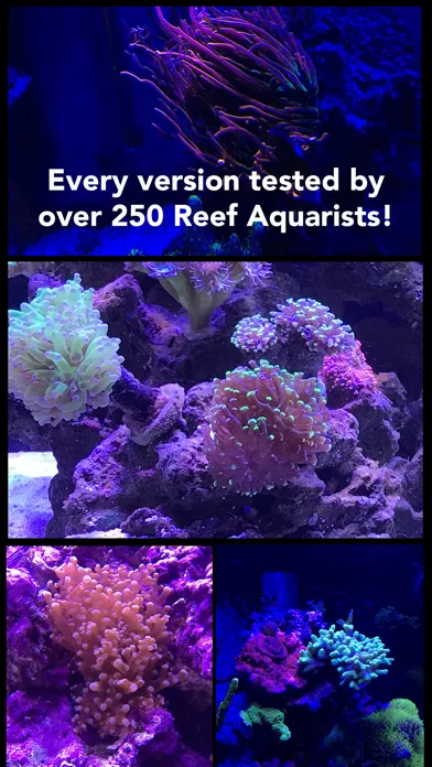 Zrzuty ekranu Aquarium Camera