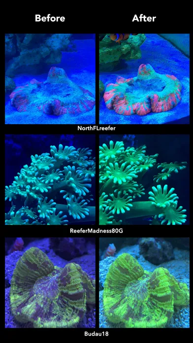 Zrzuty ekranu Aquarium Camera