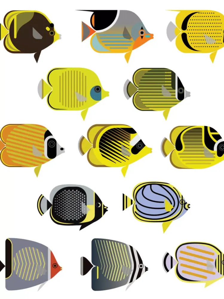 Butterfly Fish Stickers iPad  Screenshots