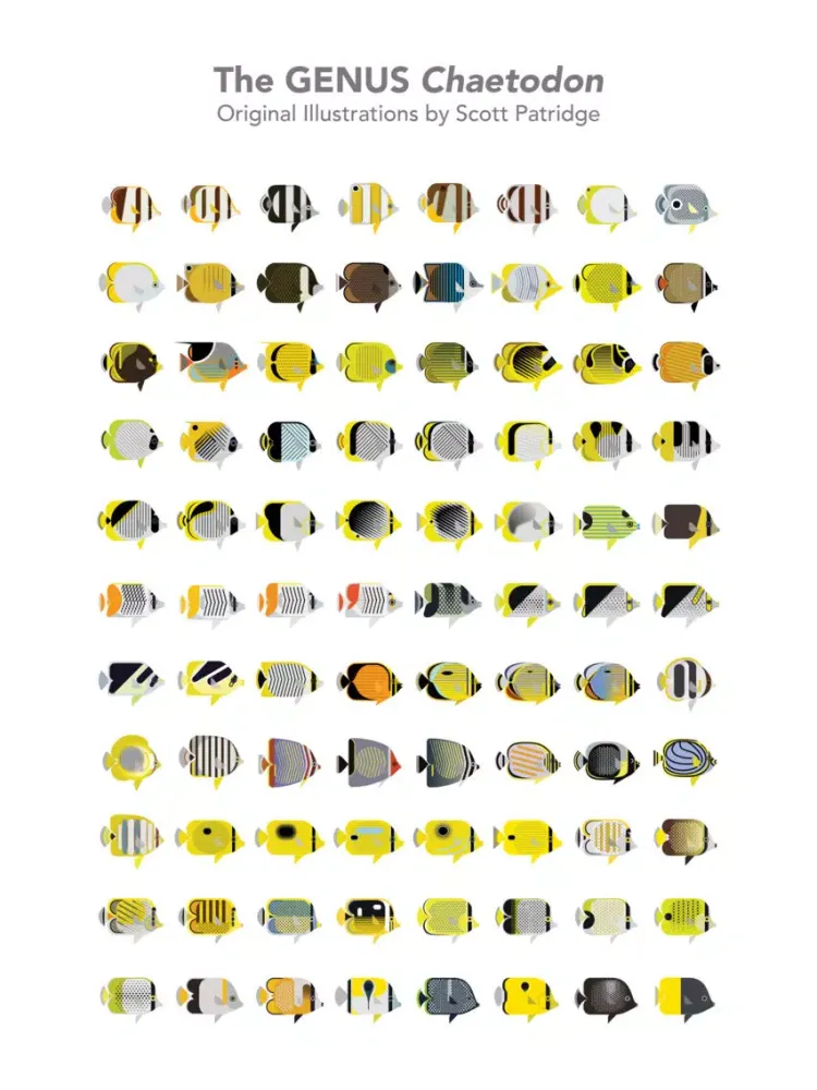 Butterfly Fish Stickers iPad  Screenshots