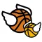 flappy dunk to ball