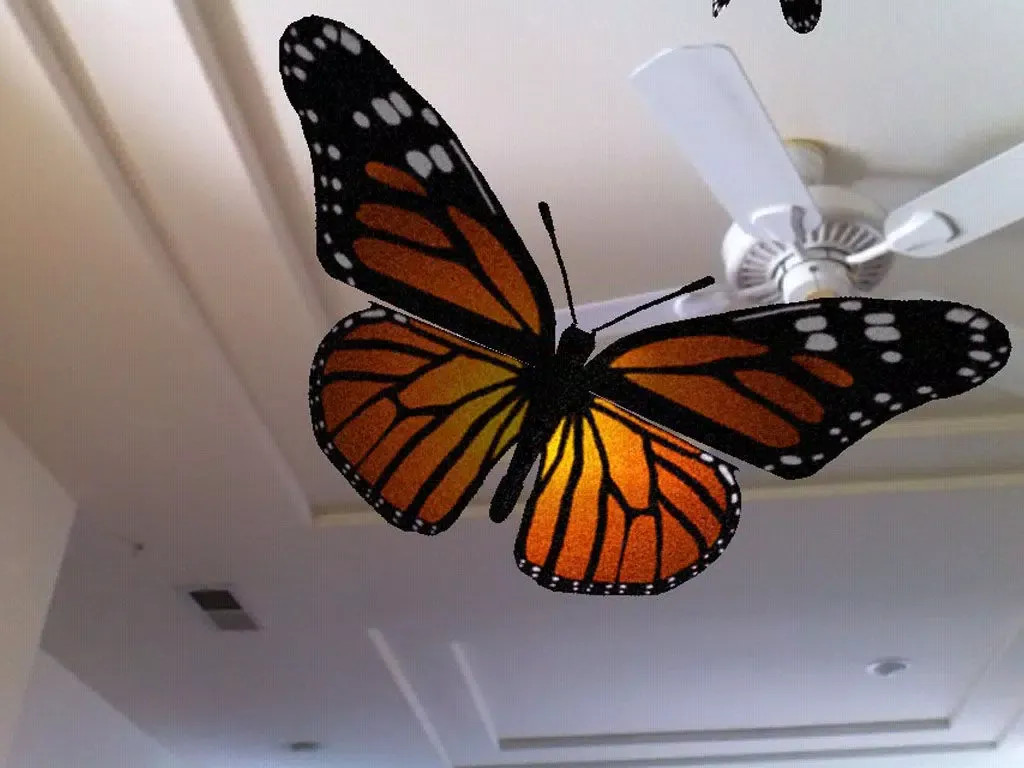 Live Butterflies iPad 应用截图
