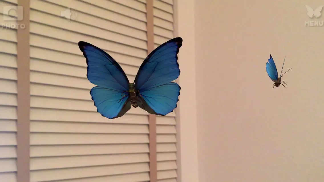 Live Butterflies应用截图