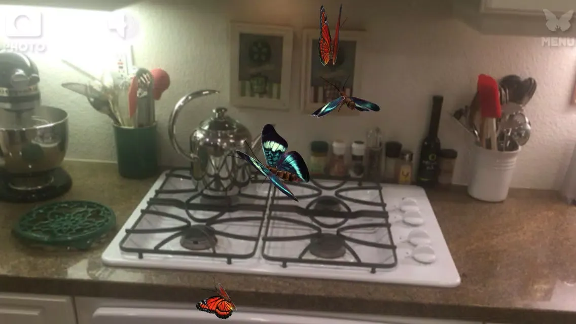 Live Butterflies应用截图