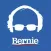 Bernie Stickers