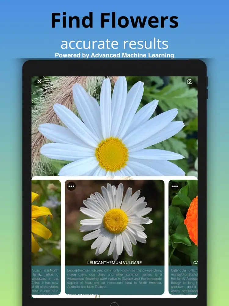 What Flower - Plant Identifier iPad  스크린샷