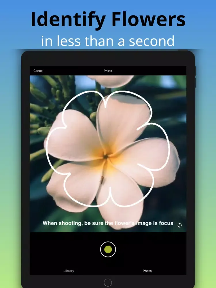 What Flower - Plant Identifier iPad  스크린샷