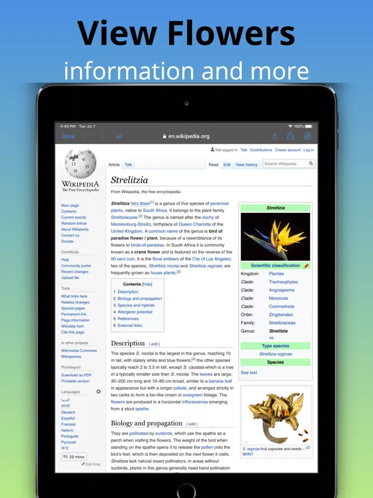 What Flower - Plant Identifier iPad  스크린샷