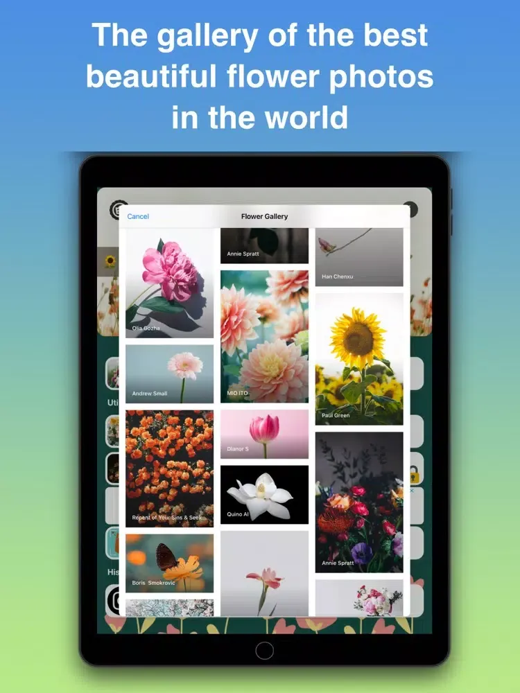What Flower - Plant Identifier iPad  스크린샷
